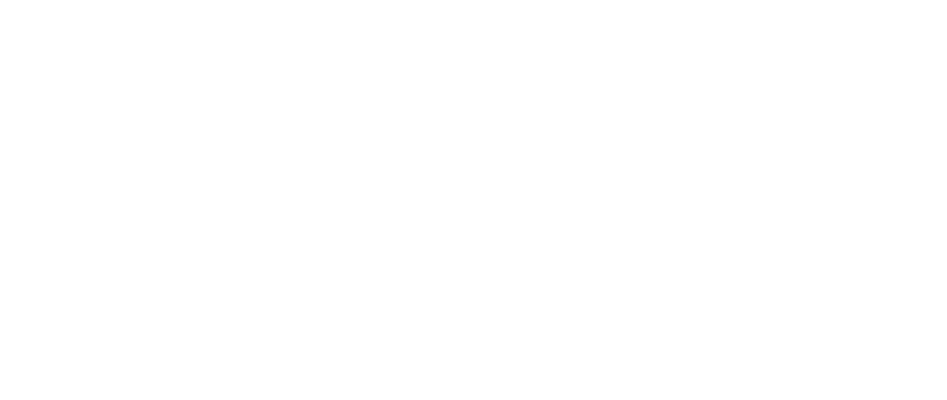 Smart Solutions Otte Logo